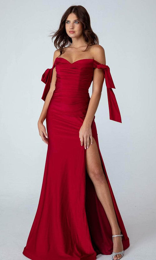 Elegant Pleated Bodice Ruffles Sleeves Chiffon Evening Dress