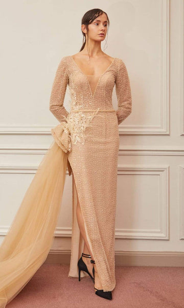 V-neck Plunging Neck Floor Length Natural Waistline Long Sleeves Applique Embroidered Draped Beaded Back Zipper Sheer Open-Back Illusion Slit Sheath Fall Sheath Dress With a Ribbon