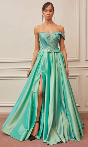 A-line Fitted Slit Pleated Back Zipper Natural Waistline Off the Shoulder One Shoulder Floor Length Dress with a Cathedral Train With a Bow(s)