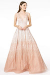 A-line V-neck Tulle Natural Waistline Plunging Neck Sleeveless Floor Length Glittering V Back Fitted Sheer Back Zipper Dress