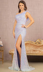 Mesh Asymmetric Back Zipper Slit Sheath Natural Waistline Sleeveless Sheath Dress/Prom Dress with a Brush/Sweep Train