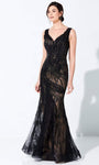 V-neck Tulle Sheath Beaded Fitted Embroidered V Back Sleeveless Natural Waistline Sheath Dress/Evening Dress