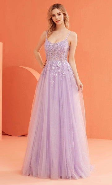 A-line Scoop Neck Corset Natural Waistline Sheer Back Zipper Open-Back Beaded Applique Sleeveless Prom Dress with a Brush/Sweep Train