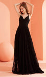 A-line V-neck Sleeveless Spaghetti Strap Floor Length Lace Natural Waistline Sheer Goddess Open-Back Hidden Back Zipper Evening Dress with a Brush/Sweep Train