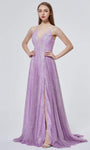 A-line V-neck Natural Waistline Fit-and-Flare Sleeveless Plunging Neck Fitted Flowy Sheer Lace-Up Glittering Slit Open-Back Floor Length Tulle Dress with a Brush/Sweep Train