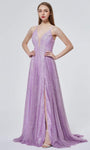 A-line V-neck Natural Waistline Glittering Open-Back Fitted Flowy Slit Sheer Lace-Up Plunging Neck Fit-and-Flare Tulle Floor Length Sleeveless Dress with a Brush/Sweep Train