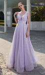 Sophisticated A-line V-neck Sheer Glittering V Back Back Zipper Natural Waistline Tulle Flared-Skirt Sleeveless Plunging Neck Floor Length Dress