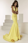 V-neck Sleeveless Side Zipper Open-Back Mermaid Natural Waistline Plunging Neck Dress with a Brush/Sweep Train