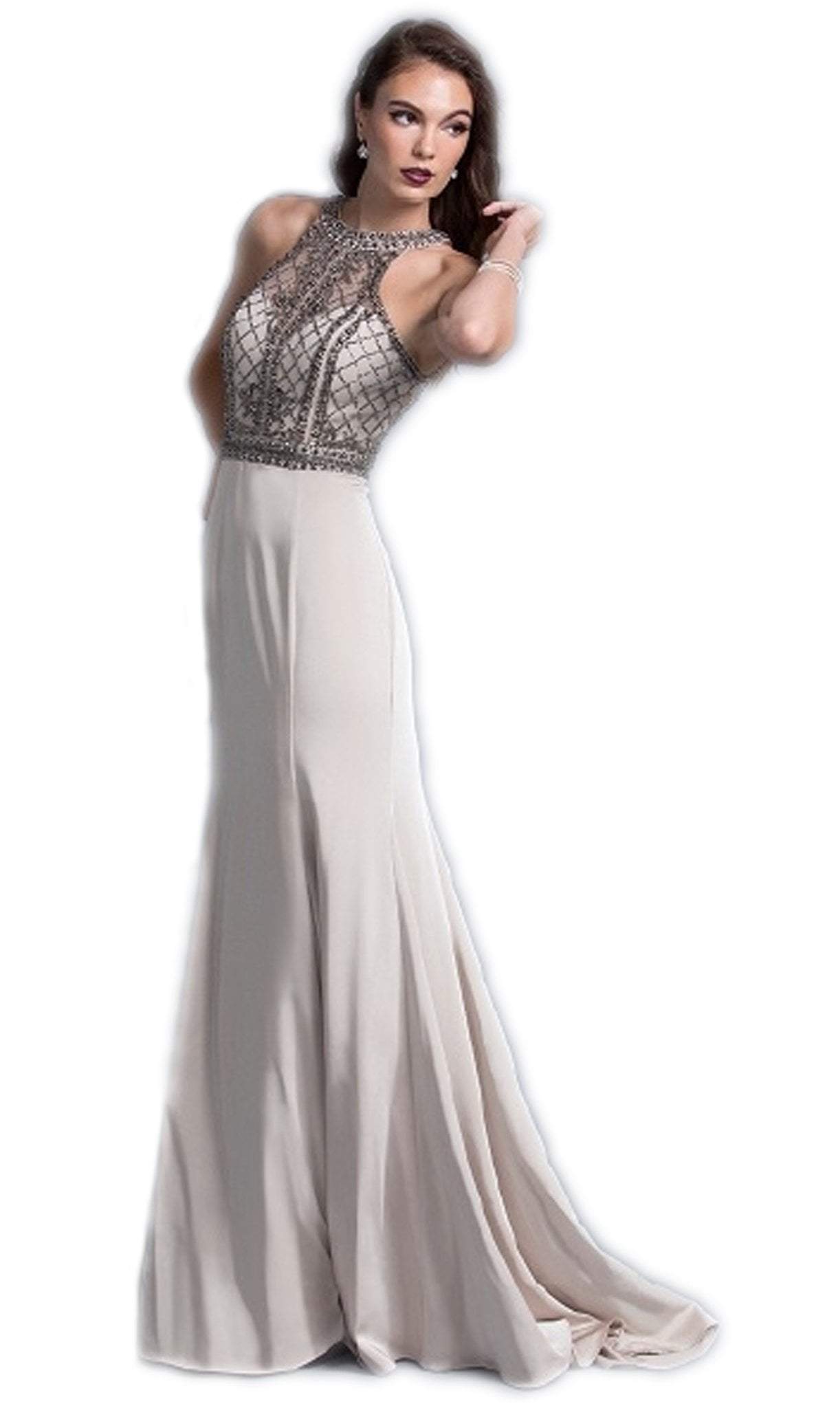 Aspeed Design - Jewel Accented Halter Prom A-line Dress
