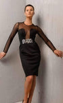 Natural Waistline Sheath Pencil-Skirt Jeweled Neck Plunging Neck Long Sleeves Cocktail Floor Length Above the Knee Banding Sheer Fitted Illusion Sheer Back Darts Sheath Dress