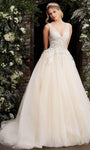 V-neck Tulle Natural Waistline Sleeveless Floral Print Sheer Embroidered Open-Back Ball Gown Wedding Dress with a Court Train With Rhinestones