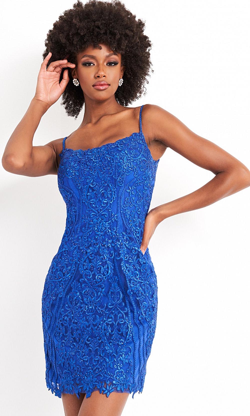 JVN by Jovani - JVN04521 Embroidered Scoop Neck Fitted Dress
