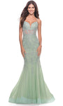 V-neck Natural Waistline Back Zipper Open-Back Sheer Applique Mermaid Plunging Neck Sleeveless Prom Dress