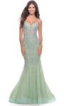 V-neck Back Zipper Open-Back Applique Sheer Sleeveless Mermaid Plunging Neck Natural Waistline Prom Dress