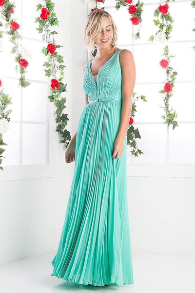 Sophisticated A-line V-neck Plunging Neck Natural Waistline Goddess Sheer Belted V Back Pleated Back Zipper Sleeveless Floor Length Bridesmaid Dress