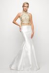 Tall Halter Sleeveless Mermaid Illusion Racerback Beaded Embroidered Metallic Evening Dress with a Brush/Sweep Train With Ruffles