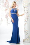 Cap Sleeves Floor Length Sheath Illusion Embroidered Sheer Fitted Open-Back Bateau Neck Sheath Dress with a Brush/Sweep Train