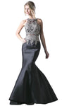Tall Illusion Cutout Mermaid Floor Length Natural Waistline Halter High-Neck Evening Dress
