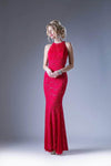 Floor Length Halter Fall Sheath Illusion Fitted Keyhole Sleeveless Lace Sheath Dress