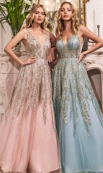 A-line V-neck Cutout V Back Sequined Applique Mesh Sheer Back Zipper Fall Tulle Natural Waistline Plunging Neck Floor Length Sleeveless Prom Dress with a Brush/Sweep Train