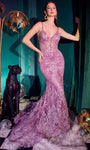 V-neck Illusion Sheer Natural Waistline Spaghetti Strap Mermaid Plunging Neck Tulle Prom Dress with a Brush/Sweep Train