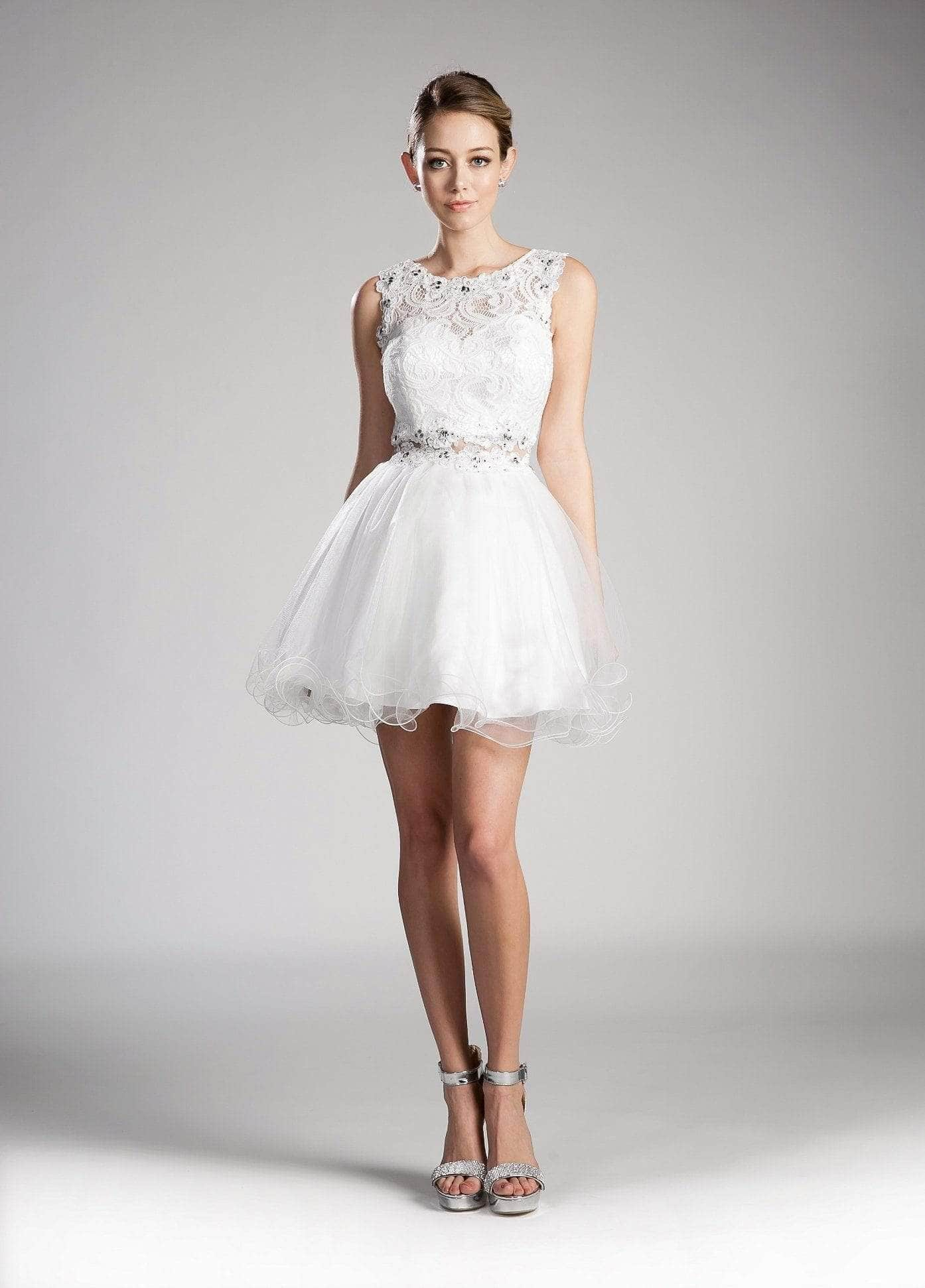 Ladivine CD0117 - Sleeveless Lace Bodice Tulle A-Line Short Dress
