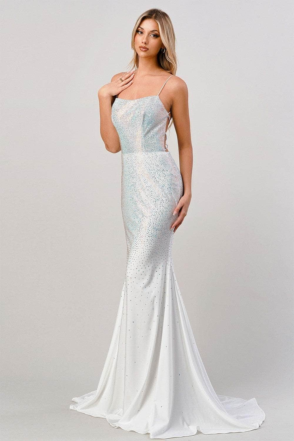 Ladivine CD0179 - Rhinestone Beaded Long Gown
