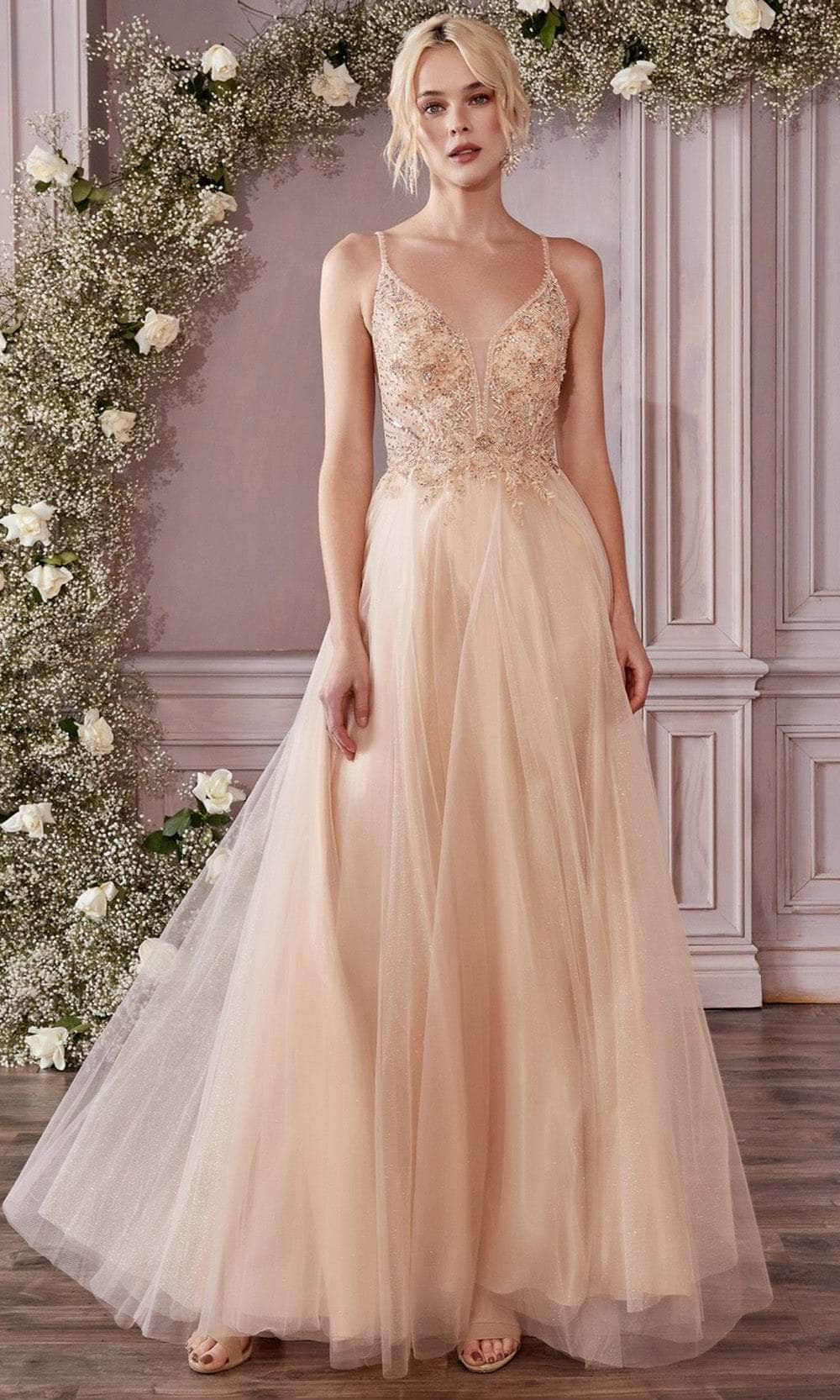 Ladivine CD0195 - Adorned Lace Tulle Prom Dress
