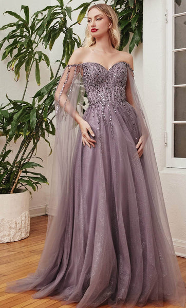 Sophisticated A-line Off the Shoulder Sweetheart Tulle Natural Waistline Sheer Glittering Sequined Prom Dress with a Brush/Sweep Train