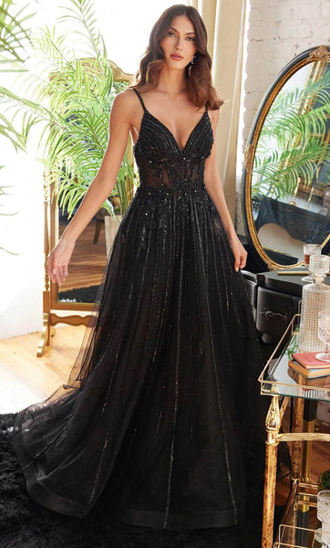 A-line V-neck Corset Natural Waistline Striped Floral Print Beaded Illusion Sheer Applique Spaghetti Strap Prom Dress with a Brush/Sweep Train