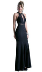 A-line V-neck Halter Plunging Neck Scoop Neck Natural Waistline Illusion Open-Back Beaded Sheer Cutout Fitted Floor Length Lace Sheath Sleeveless Spaghetti Strap Sheath Dress With a Sash and Ruffles