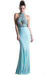 Sexy Sophisticated Cutout Fitted Pleated Open-Back Floor Length Halter Evening Dress