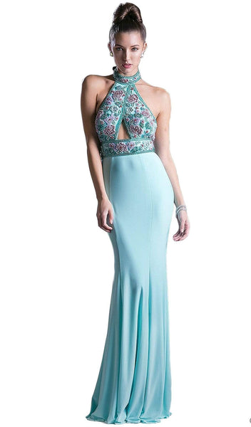 Sexy Sophisticated Fitted Cutout Pleated Open-Back Floor Length Halter Evening Dress