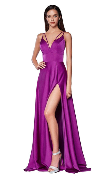 A-line V-neck Plunging Neck Sleeveless Fitted Back Zipper Natural Waistline Floor Length Party Dress with a Brush/Sweep Train