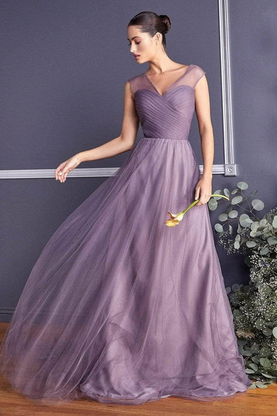 Sophisticated A-line V-neck Floor Length Back Zipper Illusion Pleated Goddess Sheer Cap Sleeves Sleeveless Tulle Natural Waistline Bridesmaid Dress/Party Dress/Wedding Dress