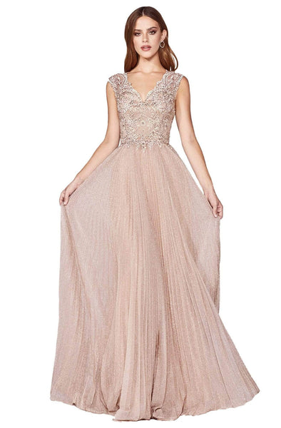Tall A-line V-neck Plunging Neck Back Zipper Pleated Beaded V Back Fitted Open-Back Natural Waistline Sleeveless Metallic Evening Dress/Bridesmaid Dress/Mother-of-the-Bride Dress/Prom Dress with a Bru