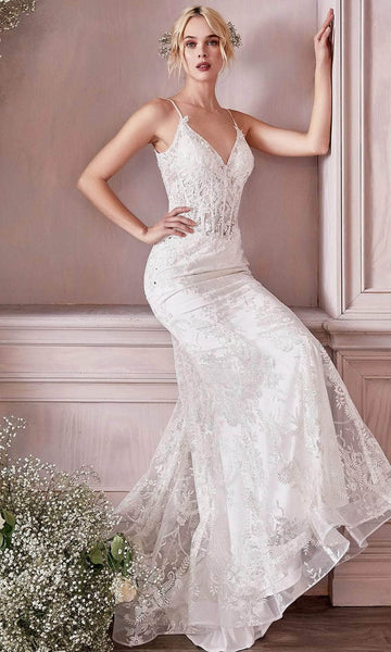 V-neck Sleeveless Spaghetti Strap Back Zipper Sheer Open-Back Applique Lace Basque Corset Waistline Mermaid Wedding Dress with a Brush/Sweep Train