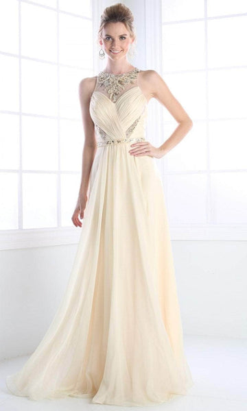 A-line Chiffon Floor Length Natural Waistline Pleated Back Zipper Ruched Sheer Beaded Crystal Jeweled Neck Sleeveless Dress with a Brush/Sweep Train