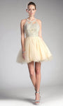 A-line Sleeveless Natural Waistline Jeweled Neck Short Applique Beaded Vintage Back Zipper Homecoming Dress/Party Dress