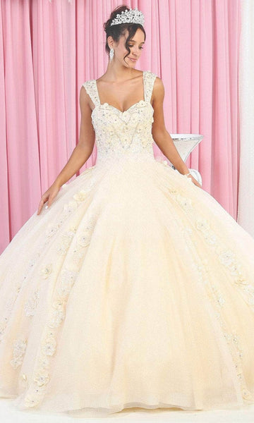 Fit-and-Flare Applique Beaded Glittering Lace-Up Fitted Sleeveless Sweetheart Floral Print Corset Natural Waistline Fall Floor Length Dress with a Court Train