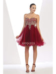 Tall A-line Strapless Fitted Applique Lace-Up Gathered Open-Back Hidden Back Zipper Cocktail Short Corset Natural Waistline Fit-and-Flare Flutter Sleeves Sweetheart Party Dress