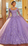 Tulle Fit-and-Flare Floor Length Sheer Sleeves Floral Print Natural Waistline Scoop Neck Sweetheart Beaded Glittering Applique Fitted Lace-Up Crystal Ball Gown Quinceanera Dress with a Chapel Train