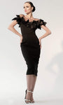 Sheer Applique V Back Fitted Illusion Slit Natural Waistline Sheath Tea Length Sheath Dress