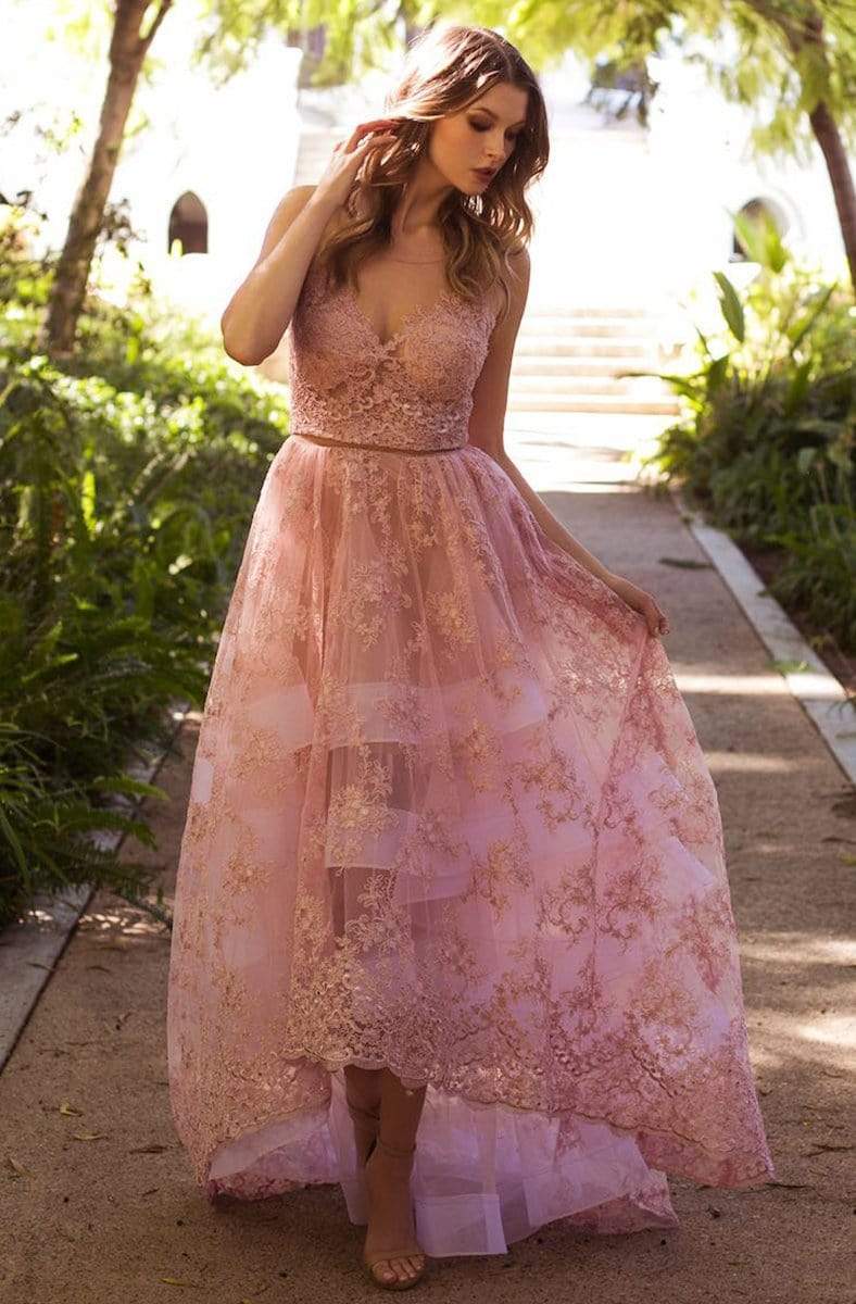 Nicole Bakti - 6774 Floral Lace Illusion Back High Low A-Line Gown
