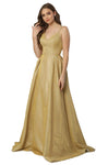 Sophisticated V-neck Floor Length Sleeveless Natural Waistline Open-Back Back Zipper Pleated Evening Dress