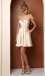 A-line V-neck Plunging Neck Natural Waistline Above the Knee Pleated Fitted Open-Back Back Zipper Sleeveless Dress