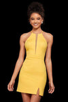 Sleeveless Halter Cocktail Short Fitted Slit Bodycon Dress/Prom Dress