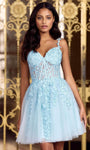 A-line Cocktail Short Spaghetti Strap Back Zipper Embroidered Lace Sweetheart Corset Natural Waistline Dress