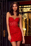 Strapless Embroidered Wrap Sheer Lace Sheath Sweetheart Cocktail Above the Knee Short Corset Natural Waistline Sheath Dress