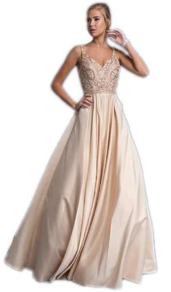 A-line V-neck Natural Waistline Back Zipper V Back Floor Length Plunging Neck Sleeveless Prom Dress/Party Dress